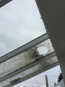 Verschmutze Fenster von Bastians Cleaning & Service GmbH in Krefeld