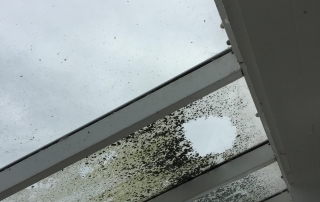 Verschmutze Fenster von Bastians Cleaning & Service GmbH in Krefeld